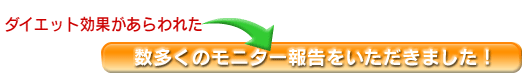 _CGbgʂꂽ̃j^[񍐂܂