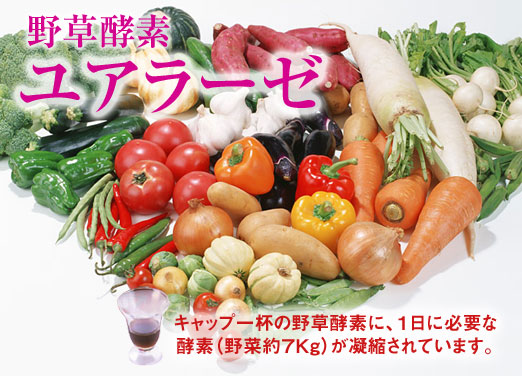 キャップ1杯の野草酵素に1日に必要な酵素(野菜約7kg)が凝縮されています。