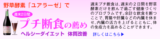 野草酵素ユアラーゼで週末2日間プチ断食の薦め